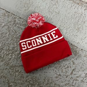 uw madison winter hat